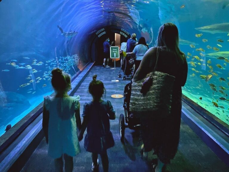 Immersive Family Experience at the Adventure Aquarium in Camden, NJ